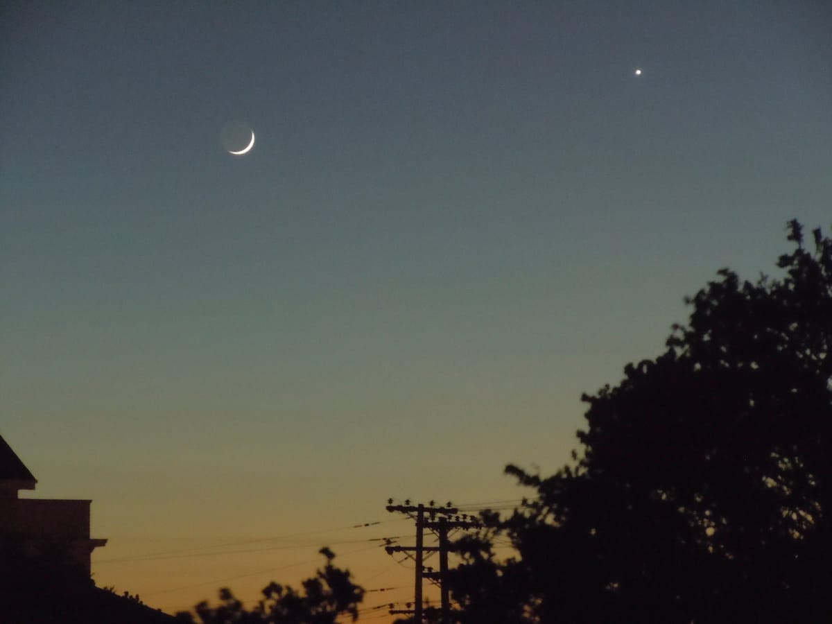 Armchair observation