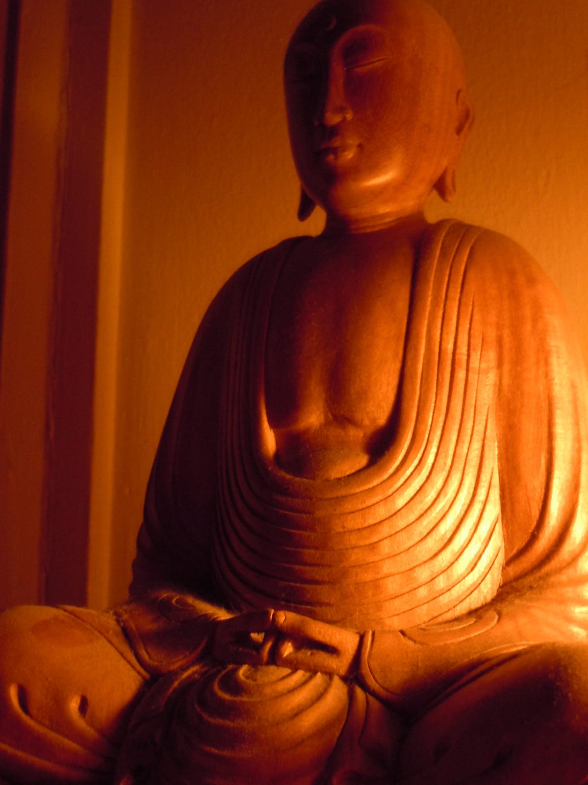 Is calling Buddhism «stupid» unconstitutional?