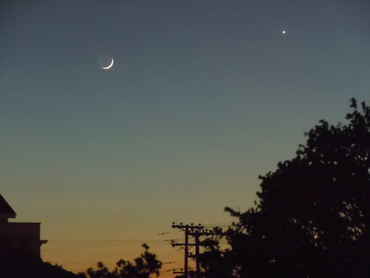 Armchair observation